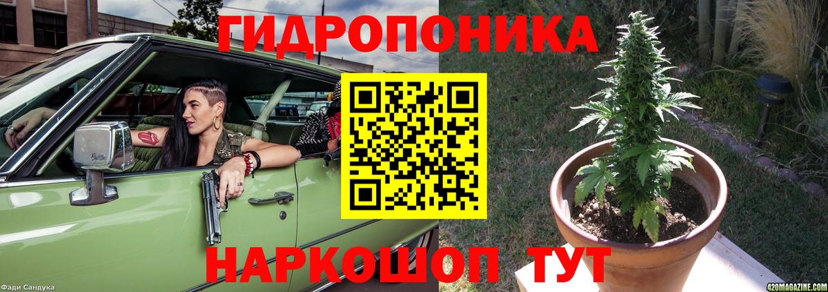 Шишки марихуана планчик  Марихуана план  Обнинск  МАРИХУАНА сатива  Вход с VPN 